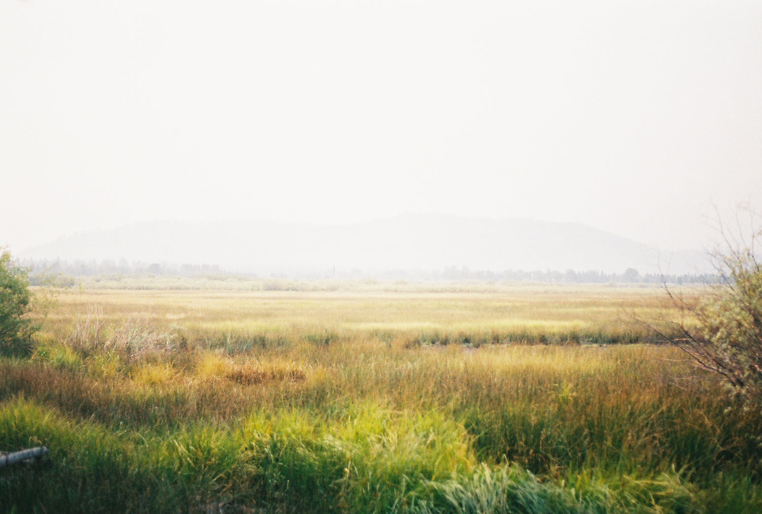 2020 Reflections and 2021 Dreams