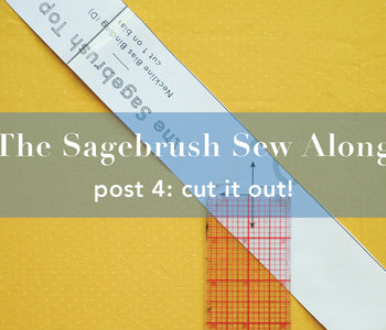 Sagebrush Sewalong Post 4: Cut it out!